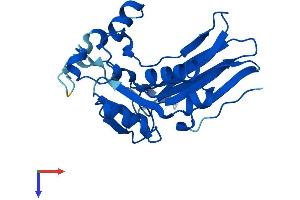 AlphaFold protein structure predicition of Human Recombinant GGTLC1 Protein, UniprotID Q9BX51