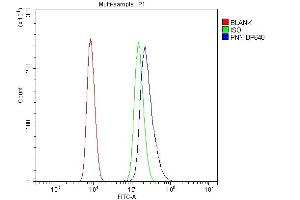 Flow Cytometry analysis of HL-60 cells using anti-PNN/DRSP antibody (ABIN7600477).