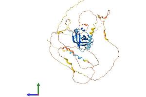 AlphaFold protein structure predicition of Human Recombinant NAF1 Protein, UniprotID Q96HR8
