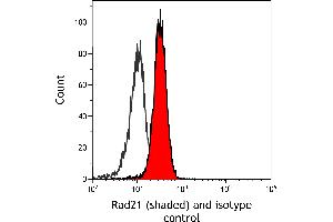 Flow Cytometry (FACS) image for anti-RAD21 Homolog (RAD21) (C-Term) antibody (ABIN7795620) (Recombinant RAD21 抗体  (C-Term))