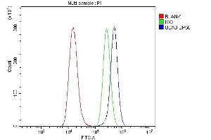 Flow Cytometry analysis of A549 cells using anti-UBE1C antibody (ABIN3043952).