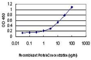 ELISA image for anti-C-Src tyrosine Kinase (CSK) (AA 1-100) antibody (ABIN560501)