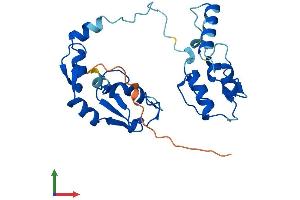 Protein Structure (PS) image for Ring Finger Protein 166 (RNF166) (AA 1-237) protein (His tag) (ABIN7557156)