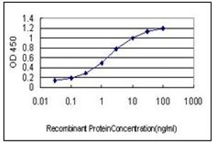 ELISA image for anti-Crystallin, mu (CRYM) (AA 215-315) antibody (ABIN614593) (CRYM 抗体  (AA 215-315))