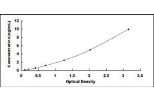 Typical standard curve (BAI3 ELISA 试剂盒)