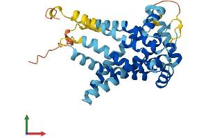 AlphaFold protein structure predicition of Mouse Recombinant Slc25a44 Protein, UniprotID Q8BGF9 (SLC25A44 Protein (AA 1-314) (His tag))