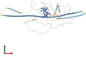 Protein Structure (PS) image for FK506 Binding Protein 15, 133kDa (FKBP15) (AA 1-1219) protein (His tag) (ABIN7553912)