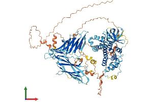 Protein Structure (PS) image for Metastasis Associated in Colon Cancer 1 (MACC1) (AA 1-852) protein (His tag) (ABIN7554458)