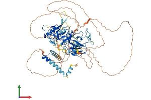 AlphaFold protein structure predicition of Human Recombinant SETDB2 Protein, UniprotID Q96T68