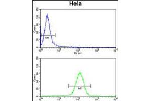 Flow cytometry analysis of Hela cells (bottom histogram) compared to a negative control cell (top histogram). (UHRF1 抗体  (AA 229-257))