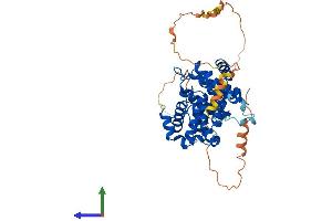 Protein Structure (PS) image for Cyclin B1 (CCNB1) (AA 1-433) protein (His tag) (ABIN7553151)