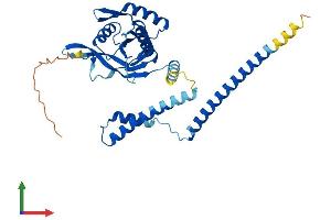 Protein Structure (PS) image for COP9 Signalosome Complex Subunit 6 (COPS6) (AA 1-324) protein (His tag) (ABIN7562624)