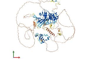 Protein Structure (PS) image for Lipin 1 (LPIN1) (AA 1-890) protein (His tag) (ABIN7554440)
