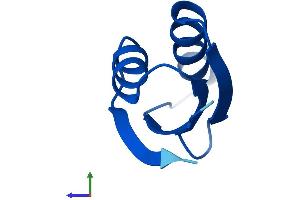 Protein Structure (PS) image for ATX1 Antioxidant Protein 1 Homolog (ATOX1) (AA 1-68) protein (Fc Tag) (ABIN7552517)