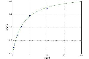 Tryptophan Hydroxylase 2 (TPH2) ELISA Kit