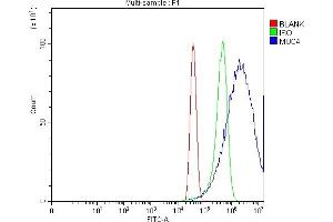 Flow Cytometry analysis of MCF-7 cells using anti-MUC4 antibody (ABIN7599886). (MUC4 抗体  (AA 1250-1444))