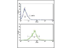 Flow cytometricof MCF-7 cells (bottom histogram) compared to a negative control cell (top histogram). (APOL1 抗体  (AA 137-171))