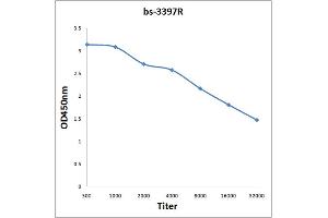 Antigen: 0. (SGK1 抗体  (pThr256))
