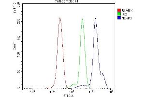 Flow Cytometry analysis of THP-1 cells using anti-NLRP3 antibody (ABIN7602532). (NLRP3 抗体  (AA 812-1035))