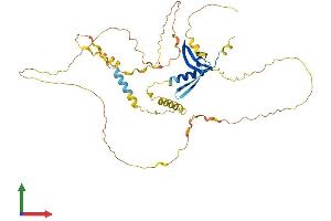 AlphaFold protein structure predicition of Human Recombinant CBX6 Protein, UniprotID O95503