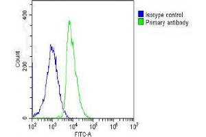 Overlay histogram showing SH-SY5Y cells stained with Antibody (green line). (LGR5 抗体  (AA 689-719))