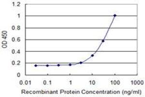 Detection limit for recombinant GST tagged PMS2 is 1 ng/ml as a capture antibody. (PMS2 抗体  (AA 763-862))