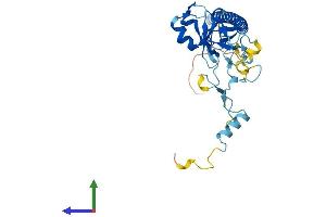 Protein Structure (PS) image for Nitric Oxide Synthase Interacting Protein (NOSIP) (AA 1-301) protein (His tag) (ABIN7561054)