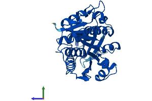 Protein Structure (PS) image for Ketohexokinase (KHK) (AA 1-298) protein (His tag) (ABIN7556784)