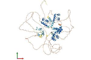Protein Structure (PS) image for Zinc Fingers and Homeoboxes 2 (ZHX2) (AA 1-837) protein (His tag) (ABIN7556113)