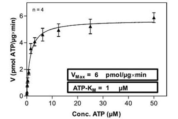 PLK4 Protein (AA 1-970) (His-GST)