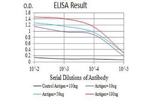 Black line: Control Antigen (100 ng),Purple line: Antigen (10 ng), Blue line: Antigen (50 ng), Red line:Antigen (100 ng) (SIRPA 抗体  (AA 235-373))