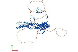 Protein Structure (PS) image for Bestrophin 1 (BEST1) (AA 1-585) protein (His tag) (ABIN7552581)