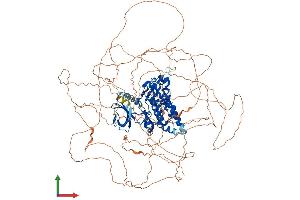 AlphaFold protein structure predicition of Mouse Recombinant Hipk2 Protein, UniprotID Q9QZR5