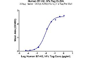 ELISA image for Inducible T-Cell Co-Stimulator Ligand (ICOSLG) (AA 19-258) protein (Fc Tag) (ABIN7273958)