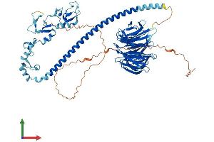 AlphaFold protein structure predicition of Human Recombinant TRAF7 Protein, UniprotID Q6Q0C0