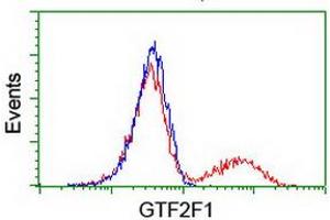 HEK293T cells transfected with either RC201294 overexpress plasmid (Red) or empty vector control plasmid (Blue) were immunostained by anti-GTF2F1 antibody (ABIN2454913), and then analyzed by flow cytometry. (GTF2F1 抗体)