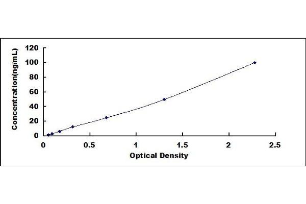 beta Defensin 1 ELISA 试剂盒