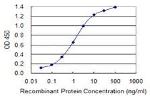 Detection limit for recombinant GST tagged GOLGA2 is 0. (Golgin A2 (GOLGA2) (AA 1-120) 抗体)