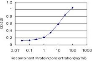 Detection limit for recombinant GST tagged RAX is approximately 0. (RAX 抗体  (AA 104-206))