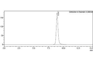 Size-exclusion chromatography-High Pressure Liquid Chromatography (SEC-HPLC) image for Fc Fragment of IgG, Low Affinity IIb, Receptor (CD32) (FCGR2B) (AA 46-217) protein (His-Avi Tag,Biotin) (ABIN7536870)