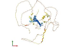 Protein Structure (PS) image for SRY (Sex Determining Region Y)-Box 9 (SOX9) (AA 1-507) protein (His tag) (ABIN7556890)