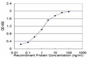 Detection limit for recombinant GST tagged GRM5 is approximately 0. (Metabotropic Glutamate Receptor 5 抗体  (AA 419-518))