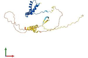 Protein Structure (PS) image for SRY (Sex Determining Region Y)-Box 21 (SOX21) (AA 1-276) protein (His tag) (ABIN7546334)