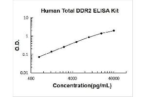 Discoidin Domain Receptor tyrosine Kinase 2 (DDR2) ELISA Kit
