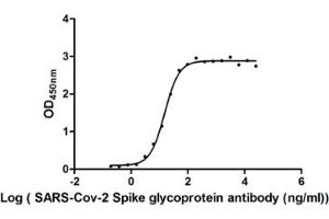 The Binding Activity of SARS-CoV-2-S Antibody with SARS-CoV-2-S1-RBD. (Recombinant SARS-CoV-2 Spike S1 抗体)