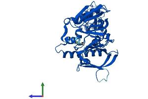 Protein Structure (PS) image for ArfGAP with Dual PH Domains 1 (ADAP1) (AA 1-374) protein (His tag) (ABIN7551949)