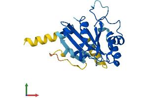 AlphaFold protein structure predicition of Human Recombinant SAR1A Protein, UniprotID Q9NR31