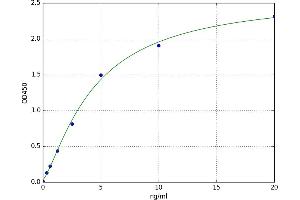 A typical standard curve (Selectin E/CD62e ELISA 试剂盒)