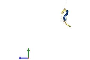 Protein Structure (PS) image for Synaptonemal Complex Central Element Protein 1-Like (SYCE1L) (AA 1-242) protein (His tag) (ABIN7544029)
