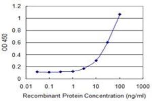 Detection limit for recombinant GST tagged LEPR is 1 ng/ml as a capture antibody. (Leptin Receptor 抗体  (AA 31-130))
